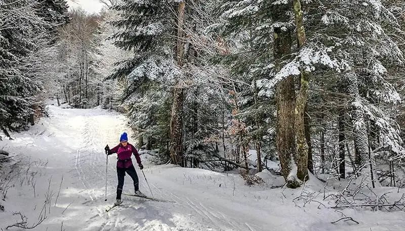 skiing in the woods