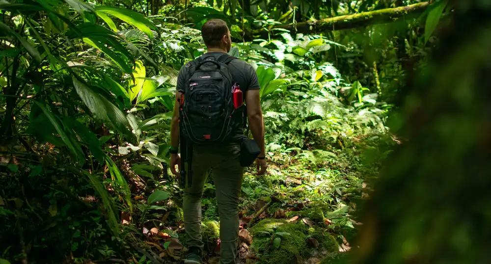 Man with backpack hiking through lush jungle