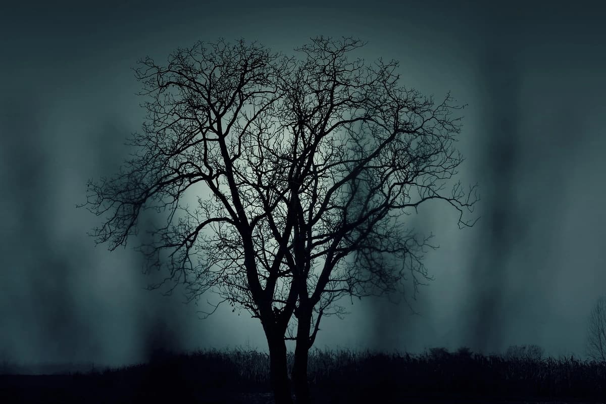 Spooky Tree