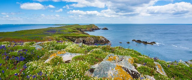 5 Reasons to Choose Ireland for Your Next Vacation