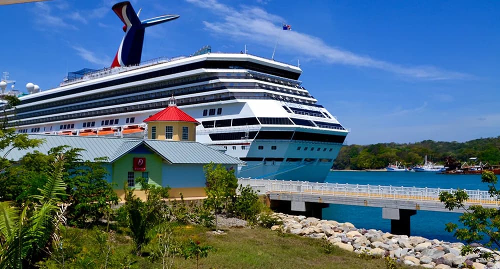 Cruise ship sits in a tropical port