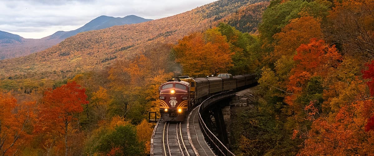 Train travel in fall