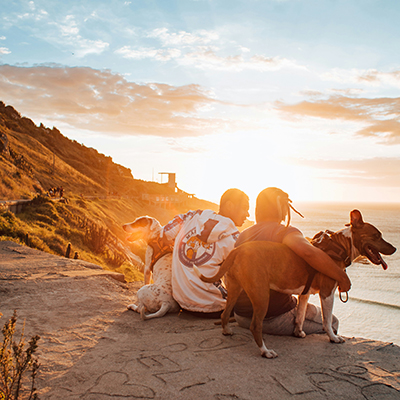 Couple traveling with dogs